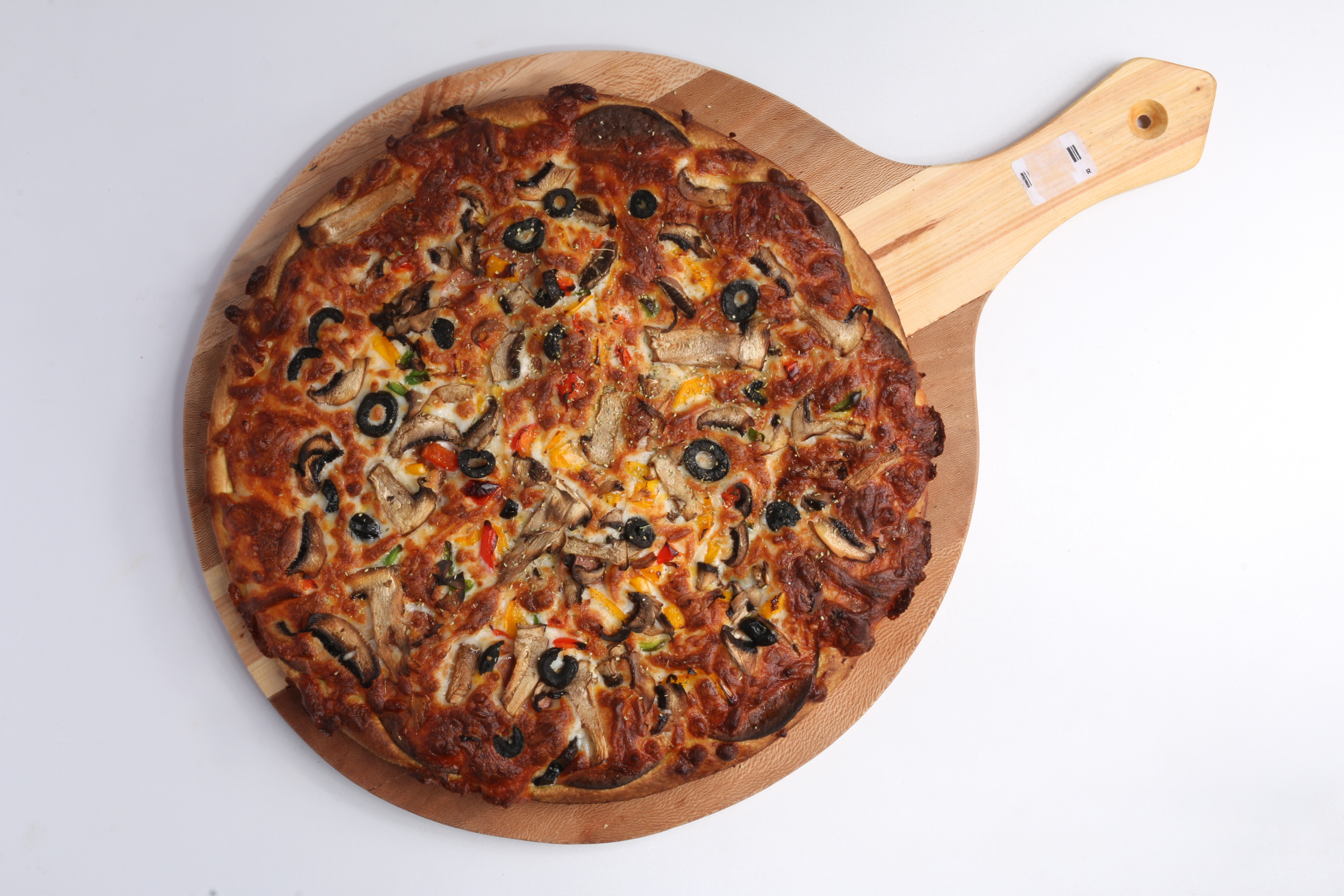 گوشت و قارچ خانواده